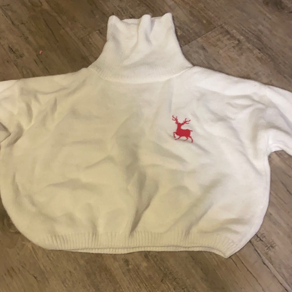 Pretty little thing cropped turtleneck sweater
